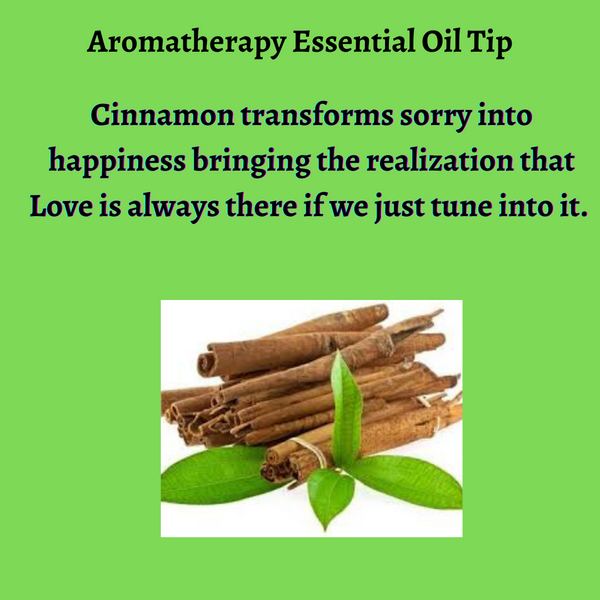 Cinnamon Essential Oil Daily Tip