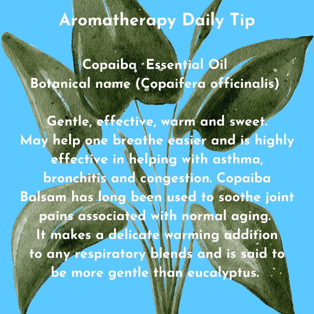 Copaiba Essential Oil Daily Tip