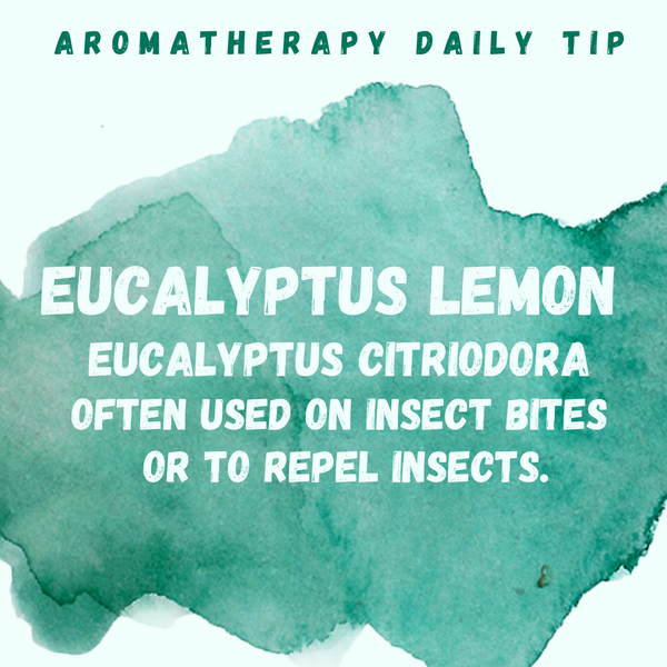 Eucalyptus Lemon Essential Oil Daily Tip