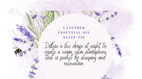 Lavender essential oil sleep and relaxation aromatherapy tip