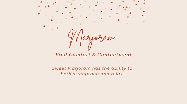 Sweet Marjoram essential oil for comfort and contentment
