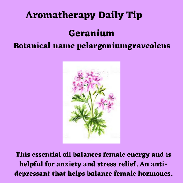 Geranium essential oil balances female energy and is helpful for anxiety and stress relief.