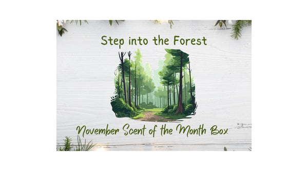 Step into the Forest Scent of the Month November Scent Box