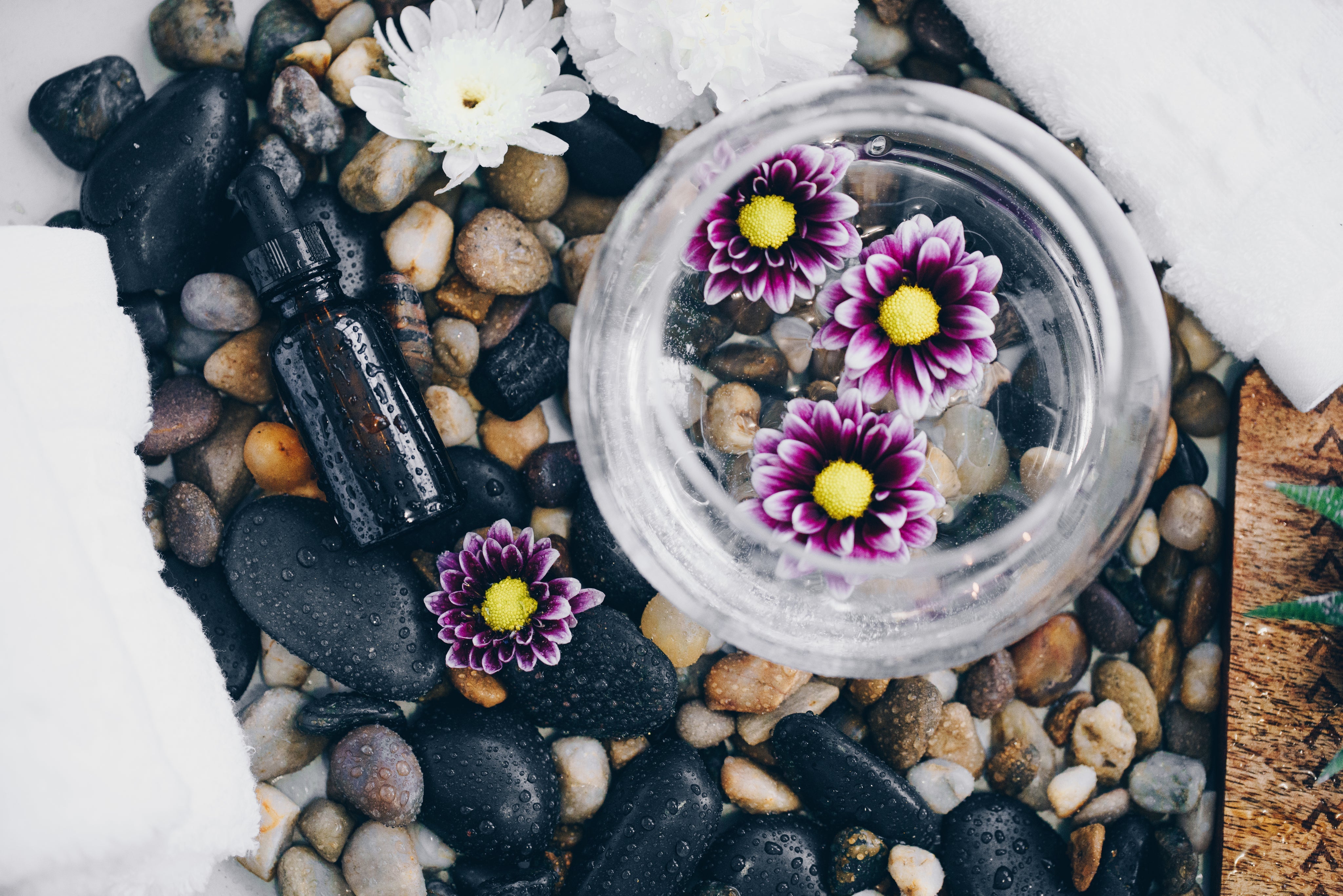 Shop our Immune Collection