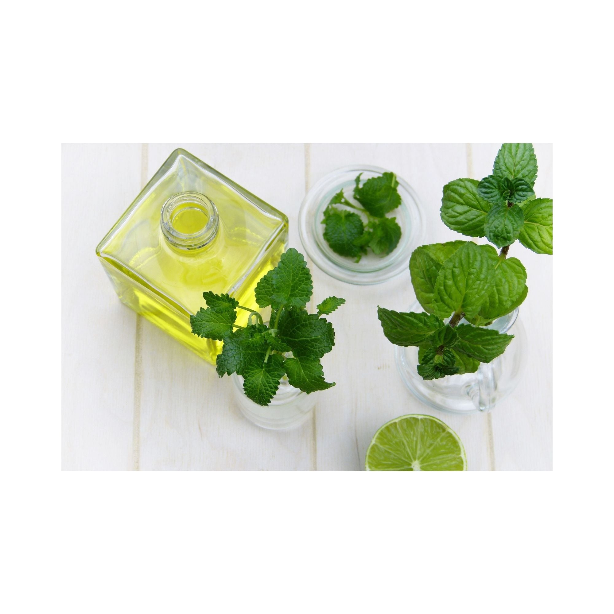 DoubleMint Essential Oil Blend