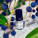Litsea (May Chang) Essential Oil