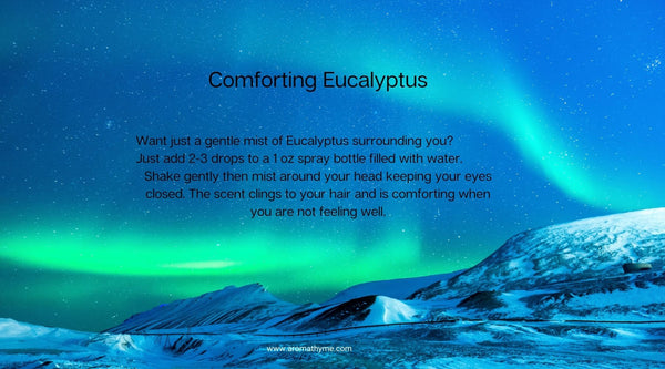 Comforting Eucalyptus Spray