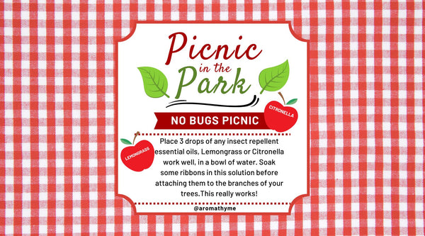 No bugs picnic July 4th holiday picnic using essential oils