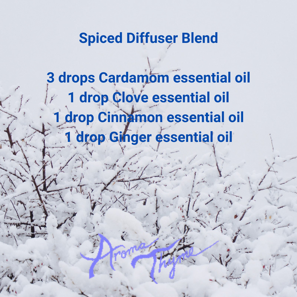 Spiced Diffuser Blend