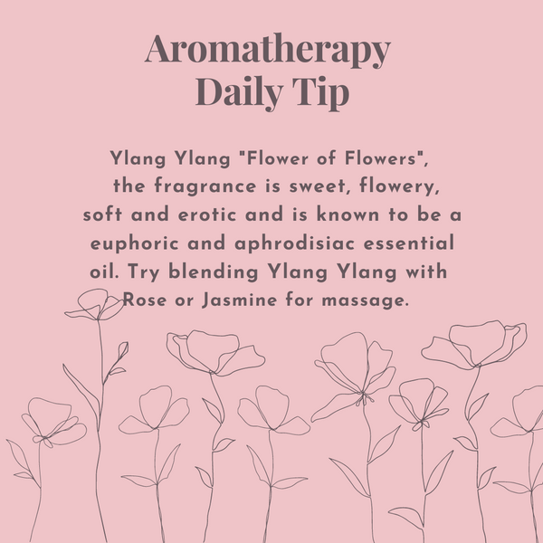 Ylang Ylang Essential Oil Daily Tip