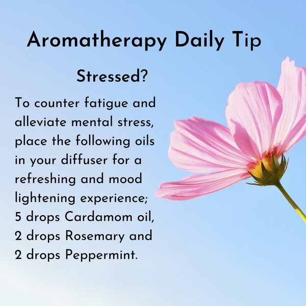 Aromatherapy Daily Tip Stressed?