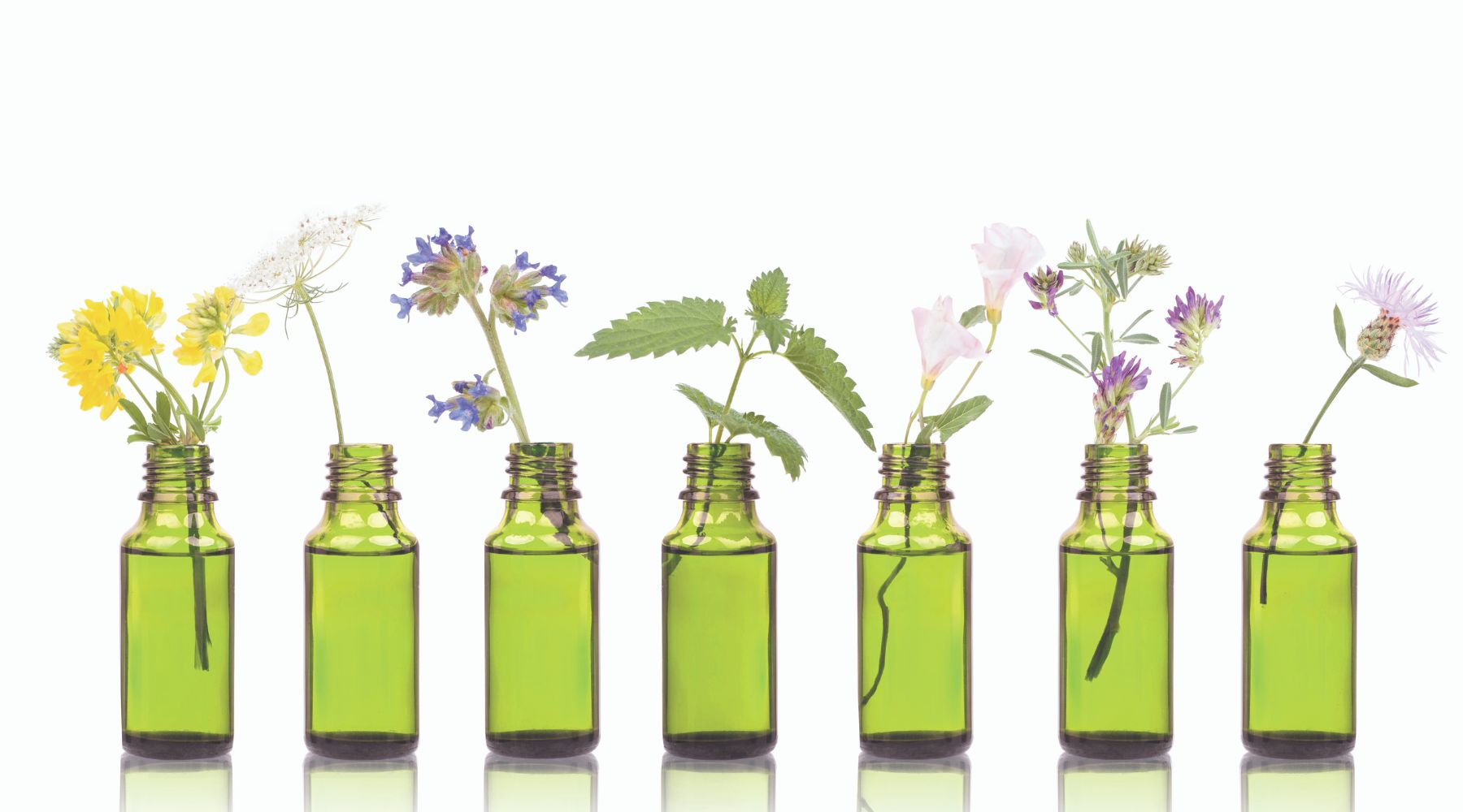 7 Must Have Essential Oils For Aromatherapy Use