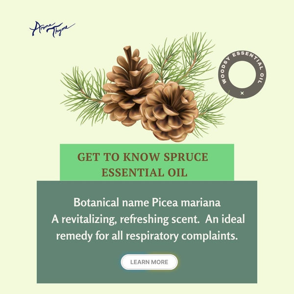 Spruce Needle Wild Crafted Essential Oil