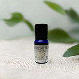 Chamomile Roman Organic Essential Oil