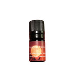 Holiday Aromatherapy Blend & Terra Cotta Stone Diffuser Gift Set