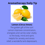 Lemon Essential Oil Organic