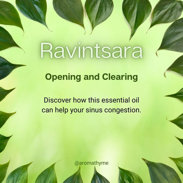 Ravintsara essential oil for allergy relief