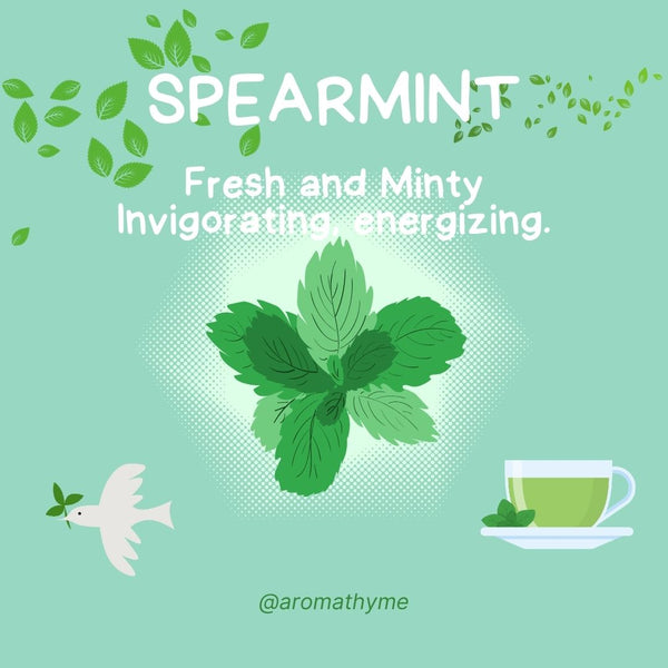 Spearmint Organic Essential Oil