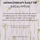 Eucalyptus Globulus Sweet Organic Essential Oil