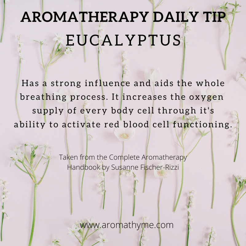 Eucalyptus Globulus Sweet Organic Essential Oil