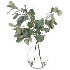 Eucalyptus Globulus Sweet Organic Essential Oil