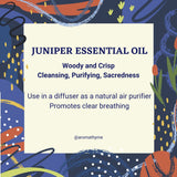 juniper-essentia-oil-profile-uses