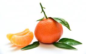 Mandarin Red Essential Oil Organic