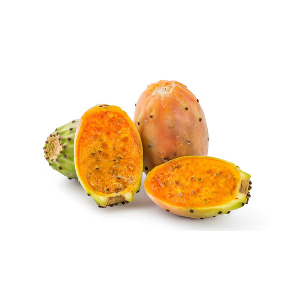 prickly pear carrier oil